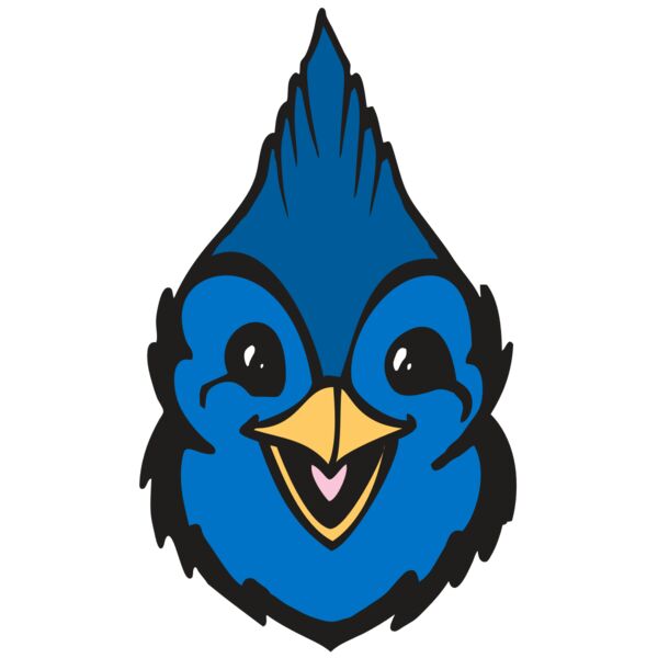 BAW BLUEJAY 19 RC Thumbnail