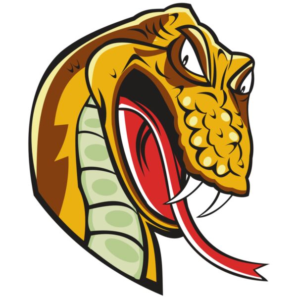 SNAKE HD0502 RQC Thumbnail